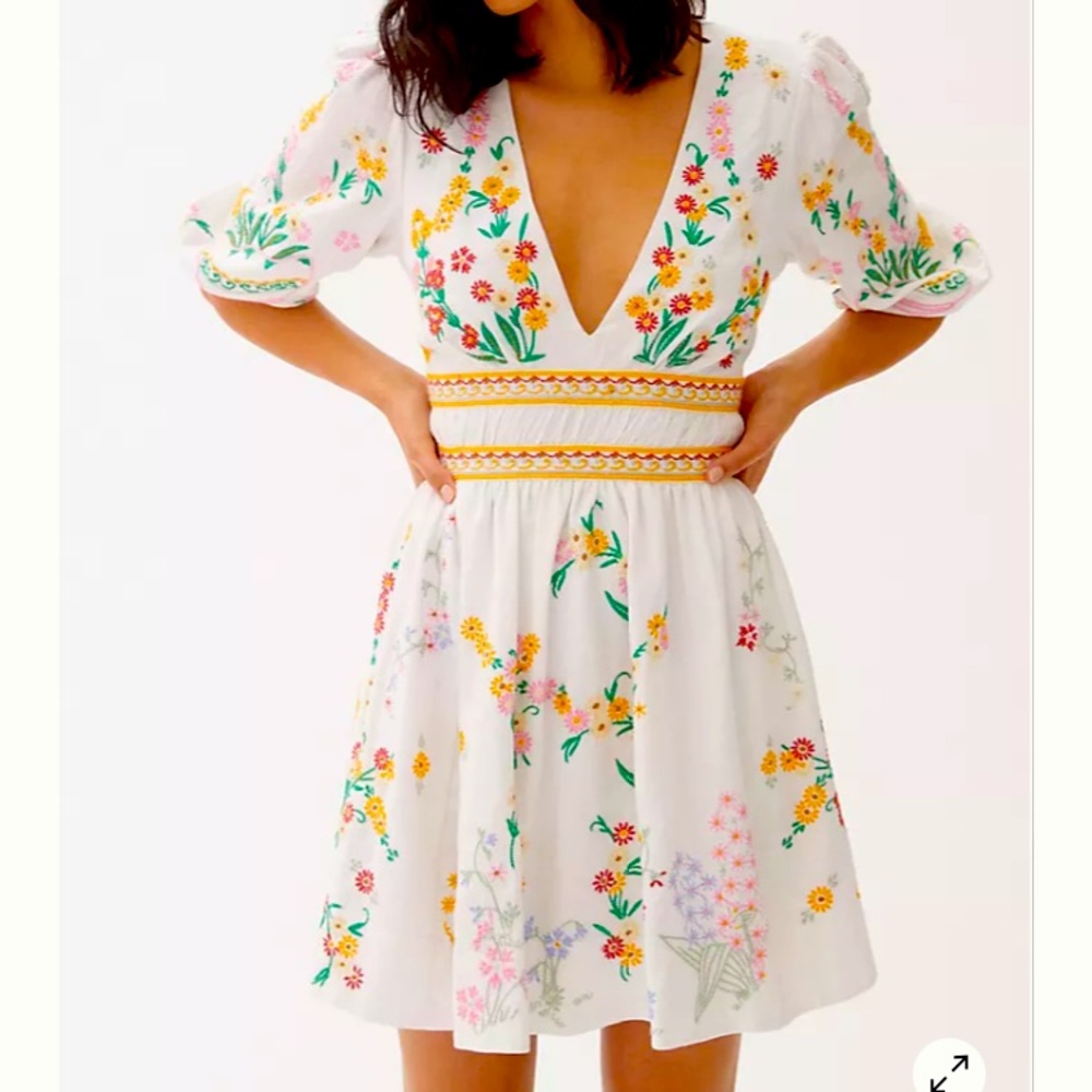 Anthropologie deep V floral dress